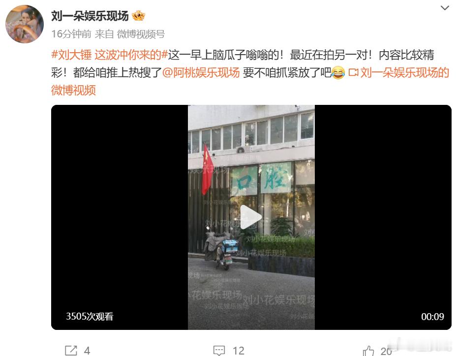 刘大锤 最近在拍另一对 怎么还有[柯基] ​​​