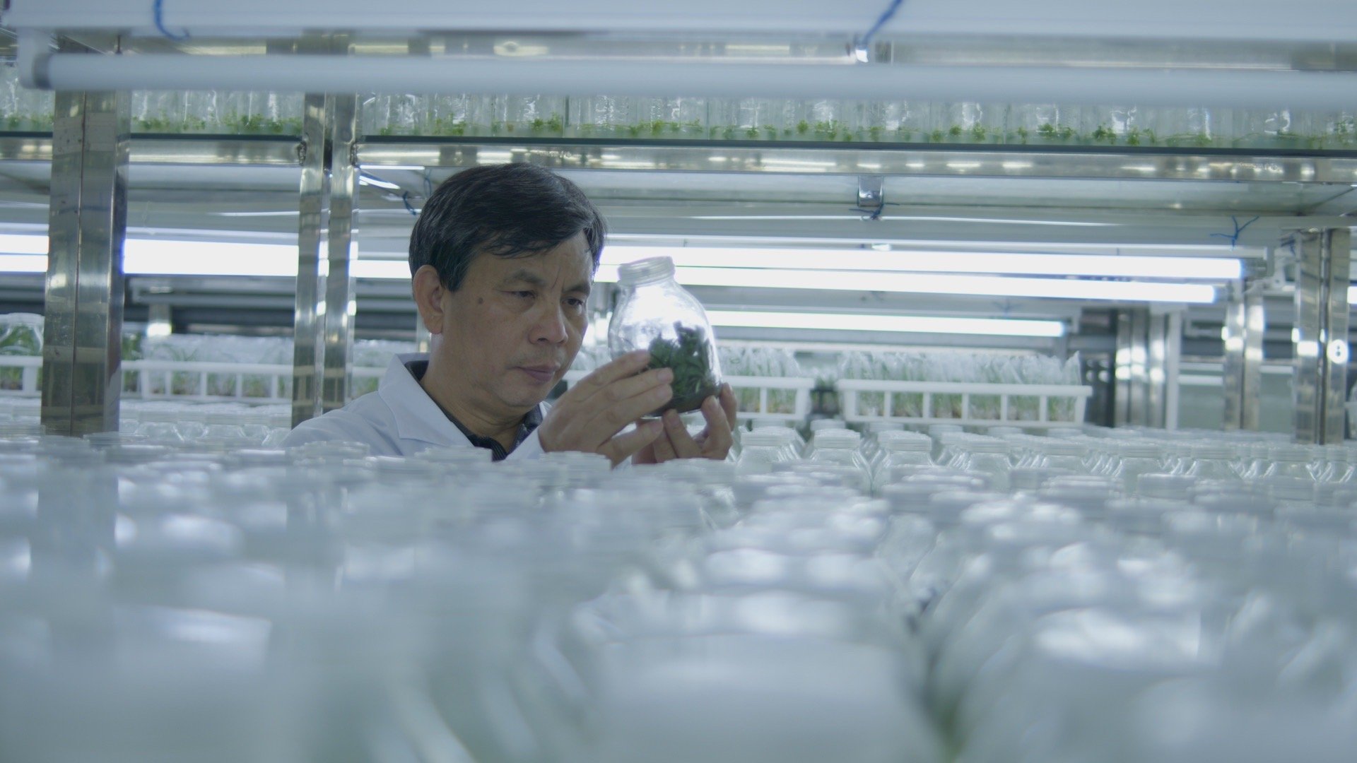 BBC镜头里的野性广东  BBC镜头下的广东，不止是经济高地，更是生物多样性宝库