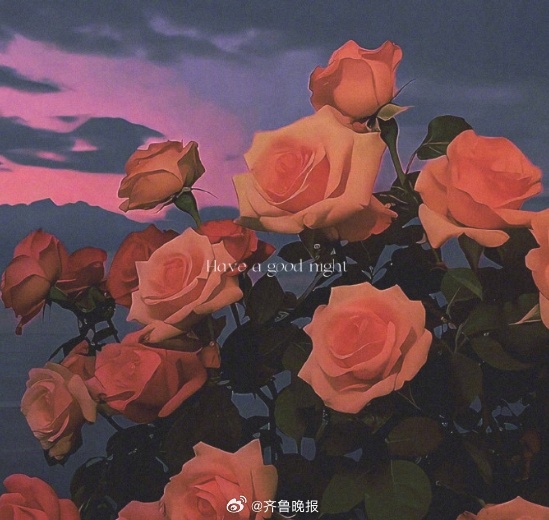 希望生活里，一切选择的初衷都是你喜欢。#晚安#
