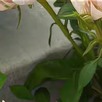 有人匆忙起身，奔赴忙碌工作；有人则在晨光中慢悠悠地品着咖啡，享受静谧惬意。春夏秋