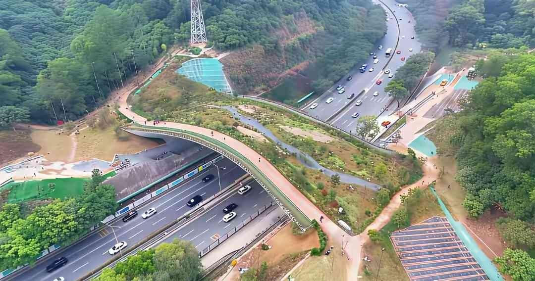 梅观路上那桥，桥不是桥，隧道不像隧道。
就一截墩子杵在地上，路面悬空盖过去，像个