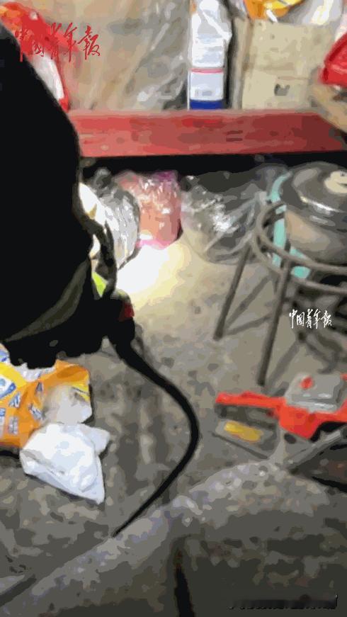 7月30日，贵州普安一男子在家中听到屋里传来窸窣声，便翻找杂物查看情况，结果竟发