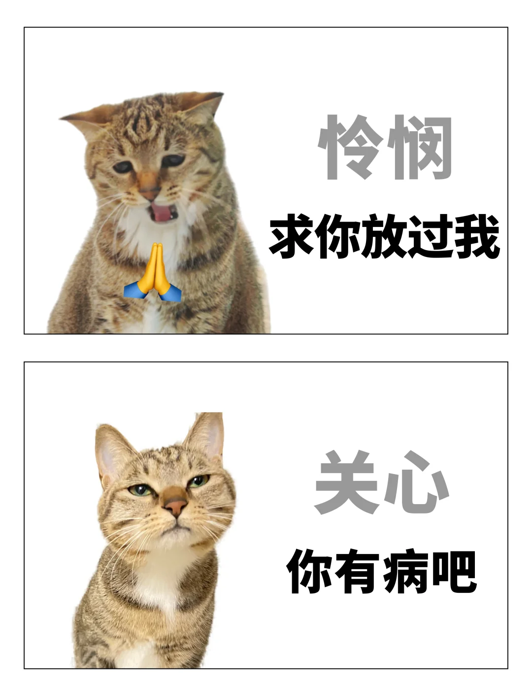 当代年轻人的六大美德