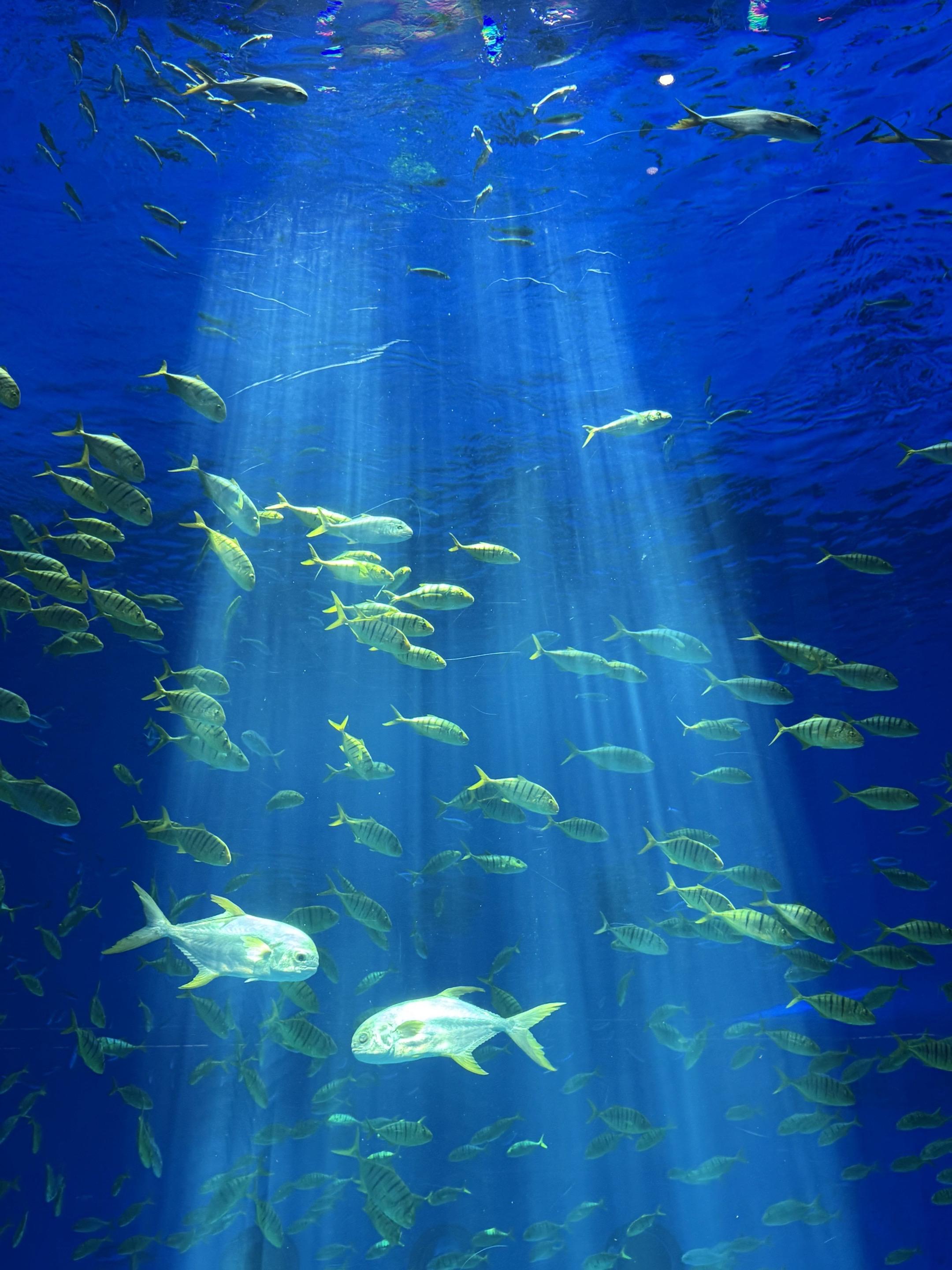 人生第一课：没有一个人会永远爱你 人生第二课：你不是谁最好的朋友 人生...