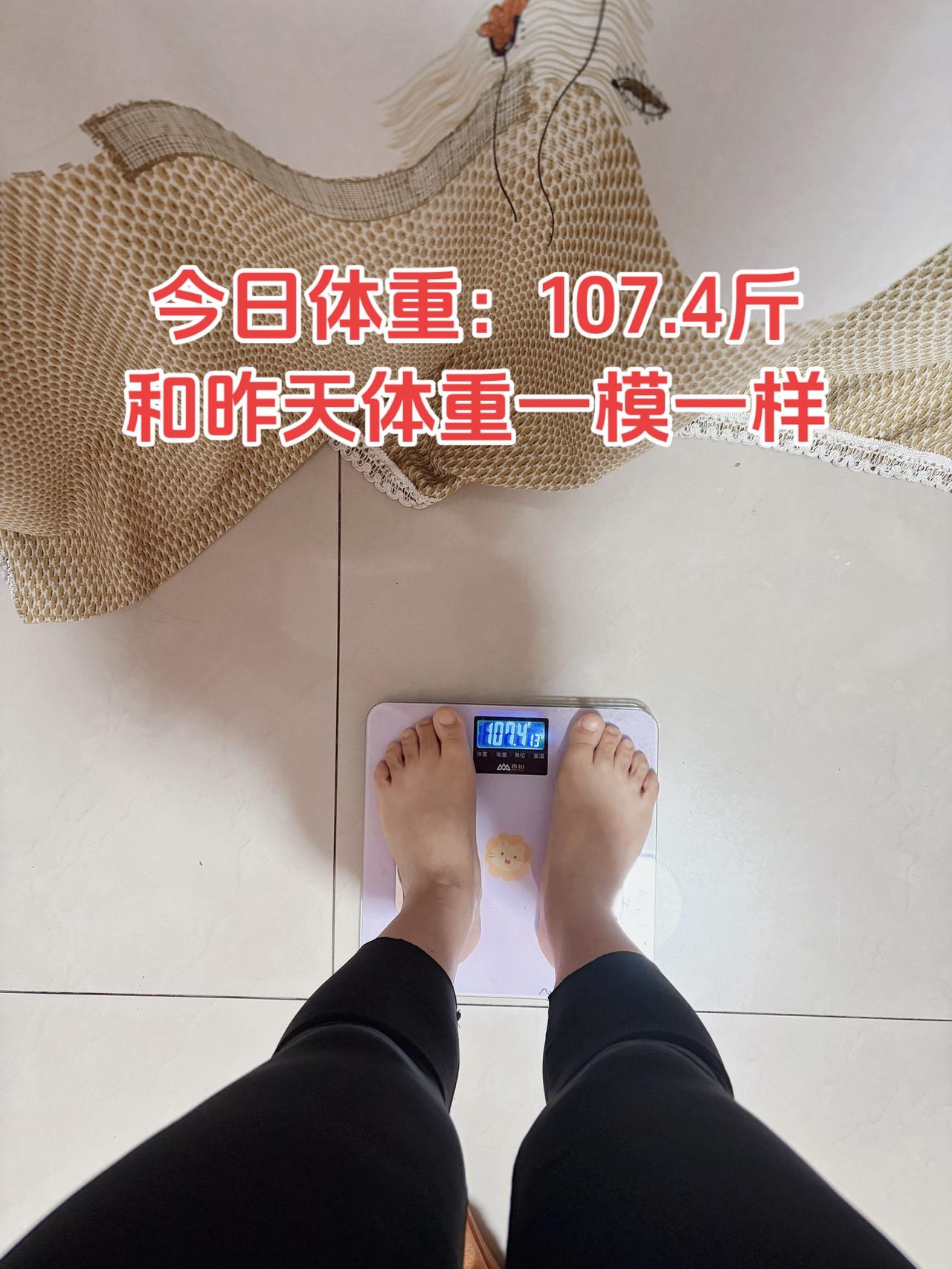 泪水打湿我的减脂餐，目标103斤，加油
今日减脂早餐：全面面包三明治+纯牛奶
体