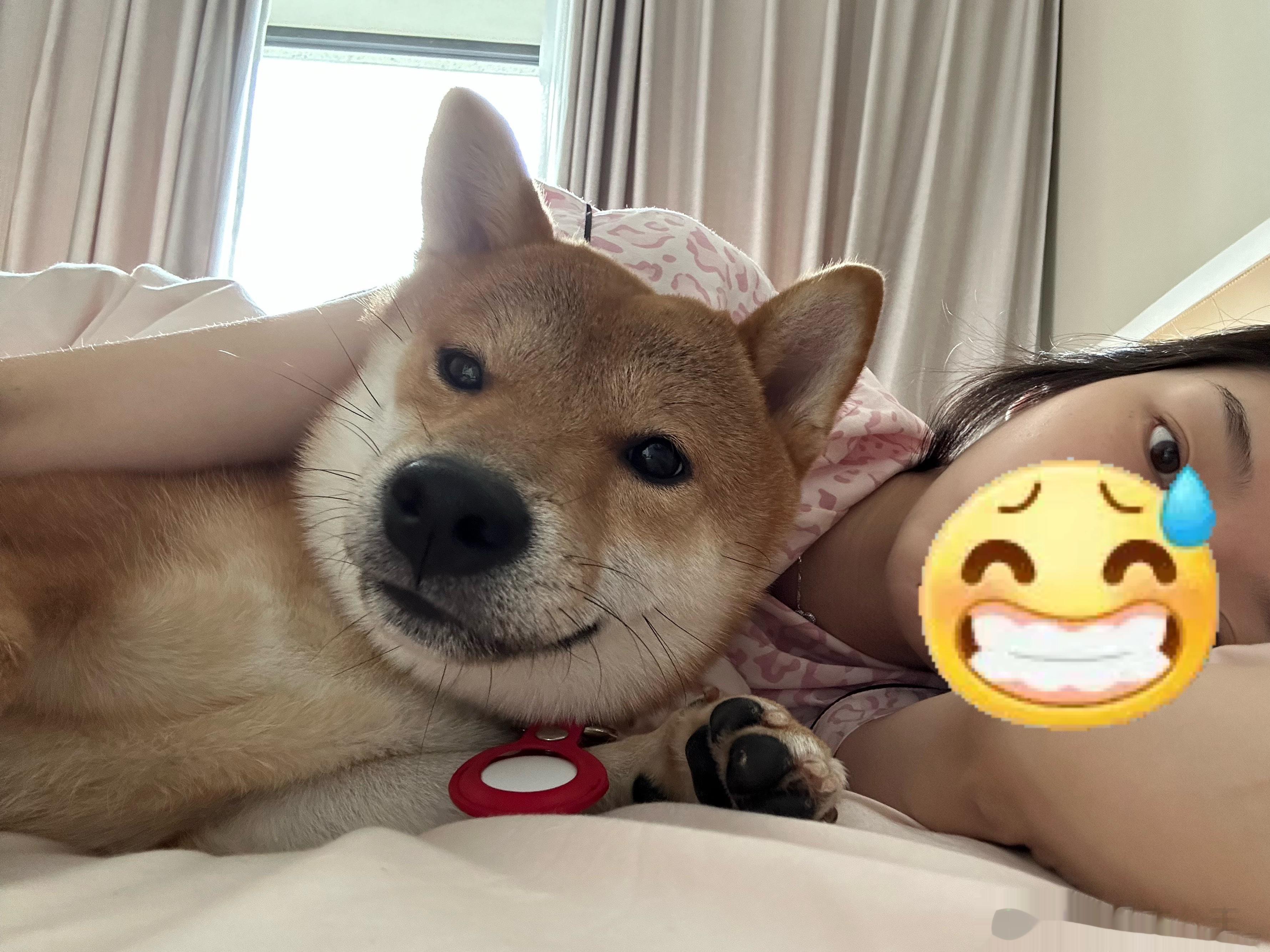 床搭子 ​​​