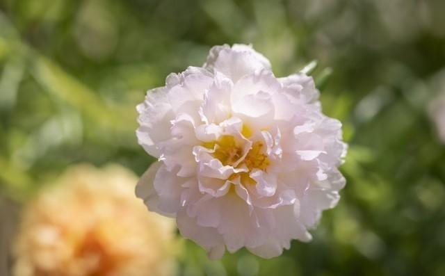 看到一段非常治愈的话：“睁开眼睛，还活着，挺好挺好。闭上眼睛，能睡着，挺好挺好。