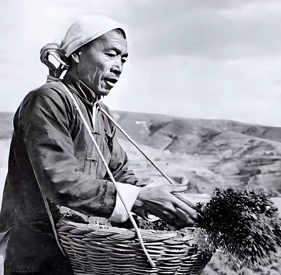 1983年陈永贵下台后第3年，主动找到中央：能帮我安排份工作吗？

这话搁谁听了