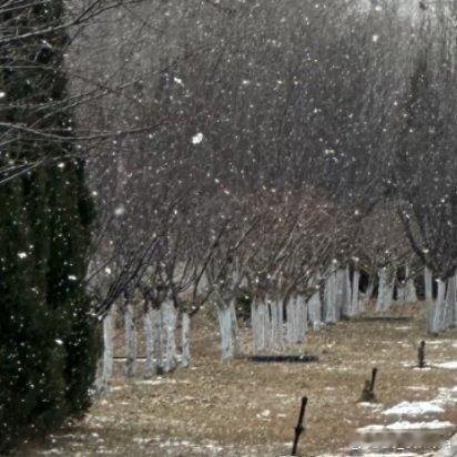 懂得尊重别人，也尊重自己的心声，学会调整，遇见困难了，多想想，没什么大不了;遇见