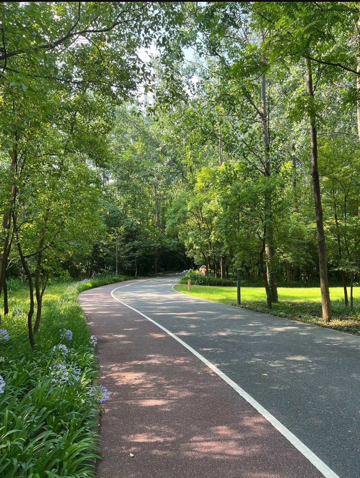 公园的风景还不错了