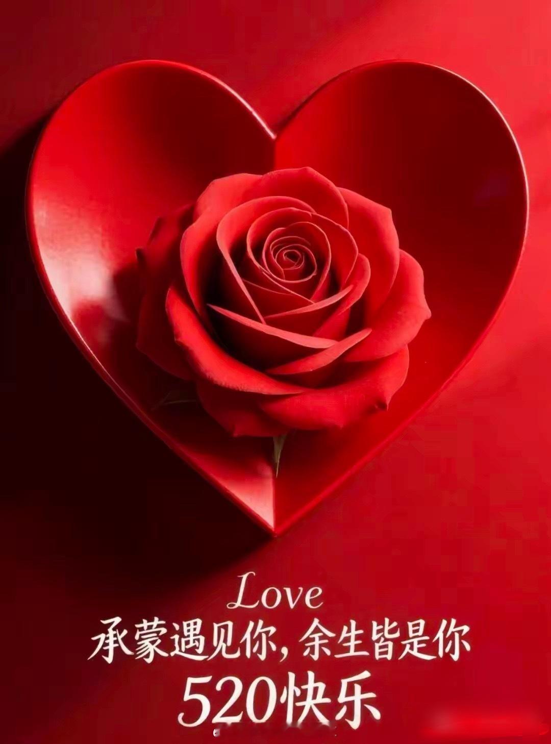 “520我决定把浪漫留给自己”520花束 鲜花💐 