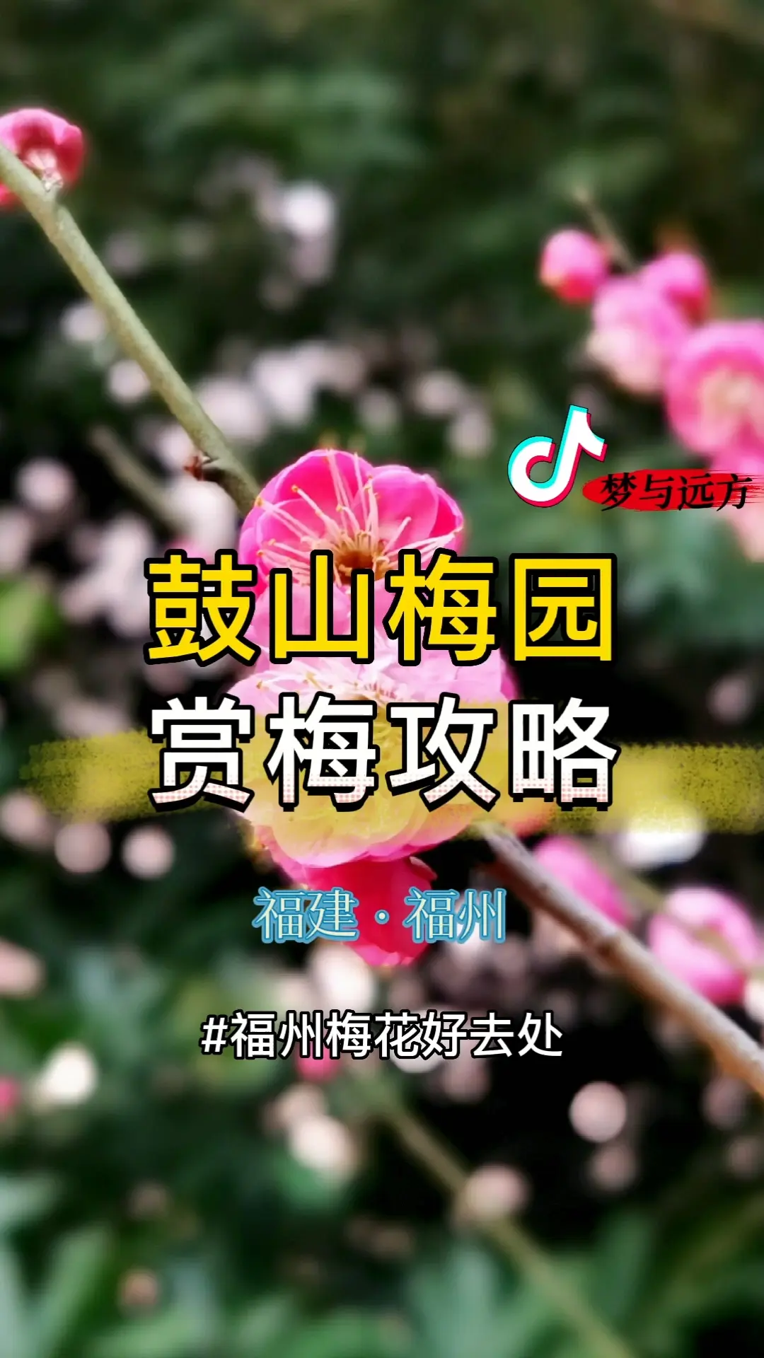 福州鼓山梅园赏梅攻略，我们是1月30日去的，部分梅花已经开放，多数都是含苞待放，未来10天将是梅花的最佳观赏期。
鼓山相怀梅园自然风光图文攻略：2号线做地铁到鼓山，A口出，前行100就是鼓山公园，可以选择爬山，缆车，公交。缆车成人单程50，儿童35，公交10元。喜欢爬山可以爬山，爬山大约30分钟。对于经常不怎么运动人来说真的很累。爬山这段路程真的没啥好看的。