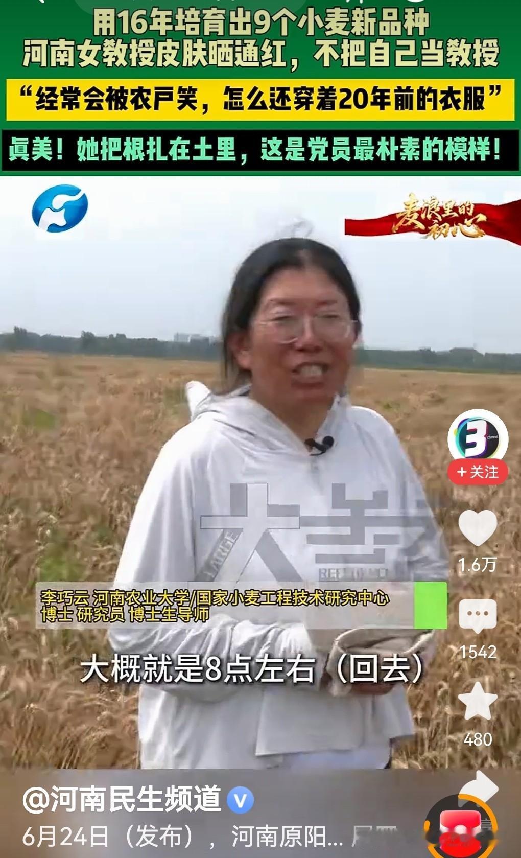 “小麦王”！女教授16年培育出9个小麦新品种！

河南的六月，麦浪翻滚。一位皮肤