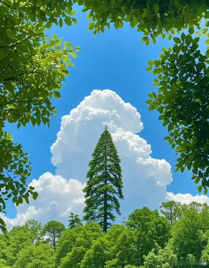我的私人宝藏书单书评用文字填满浪漫时光 在这复杂的世间，一个人欲践行心中认定之事