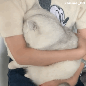 “知道错了吗”“好孩子 趴好”“乖”（好喜欢被包围的安全感） ​​​