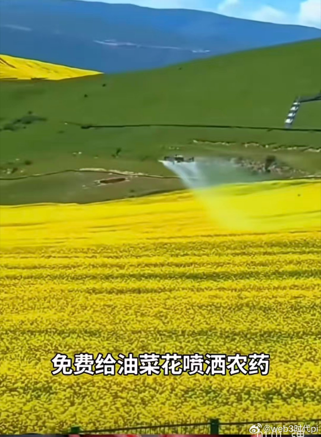 油菜花上“天降农药”？无人机撒药背后的真相与隐忧春风拂过，金黄的油菜花田本是一幅
