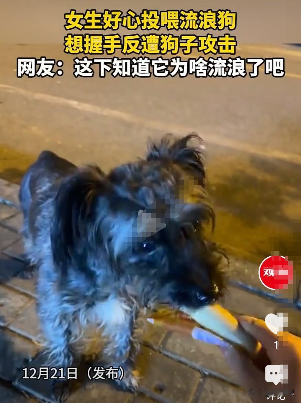 尽量的远离流浪狗，投喂下就算了，别太有太亲密的举动。
12月21日（发布），一女