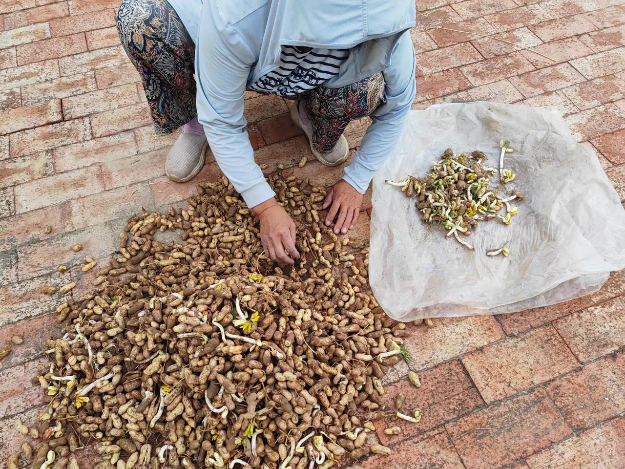 人这一辈子也得玩也得干，活的才更有意思。
老伴下午打麻将打到了3点多，贏了21块