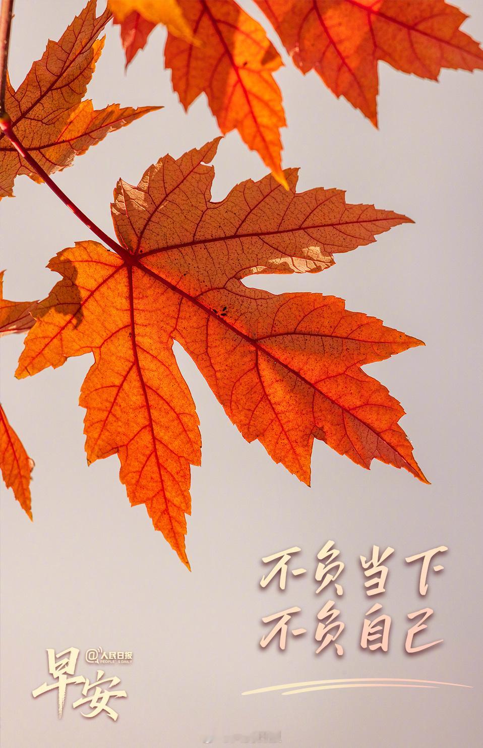 【今天是10月最后一天，不负当下，不负自己】不知不觉，2026还剩最后两个月。那