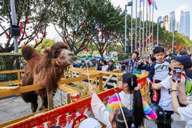 春节假期首日人气爆棚！广州正佳广场开启新春狂欢模式