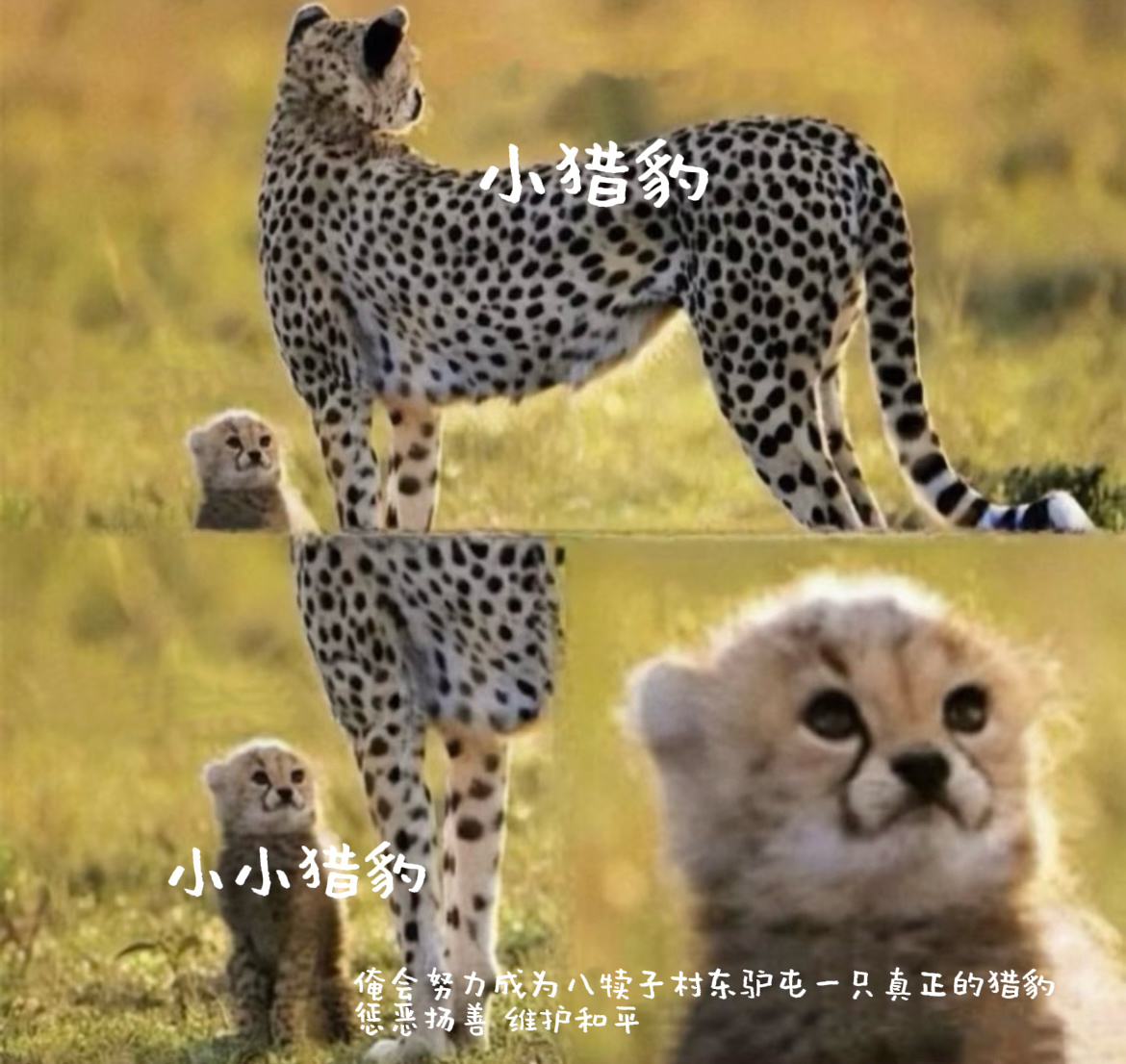 我代一下 