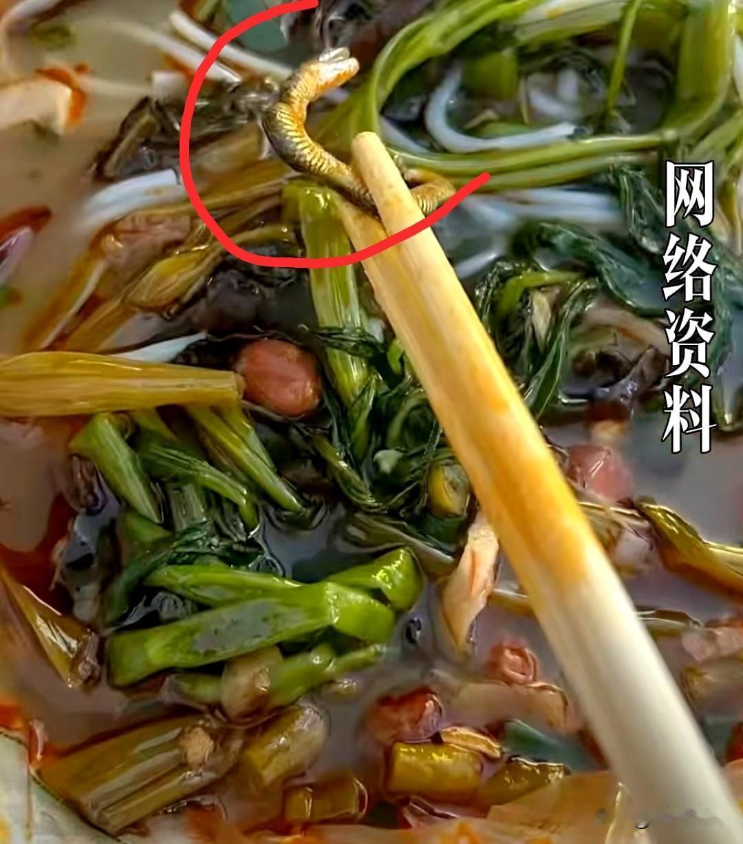 近日，南宁女子吃螺蛳粉，夹起菜叶发现竟是菜花蛇，当场受惊不适。女子拍照取证后叫来