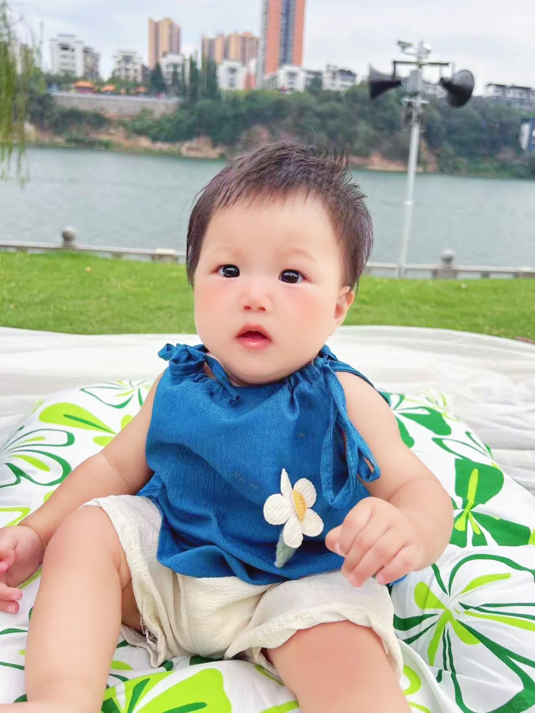 我不允许还有人不知道启赋蕴淳