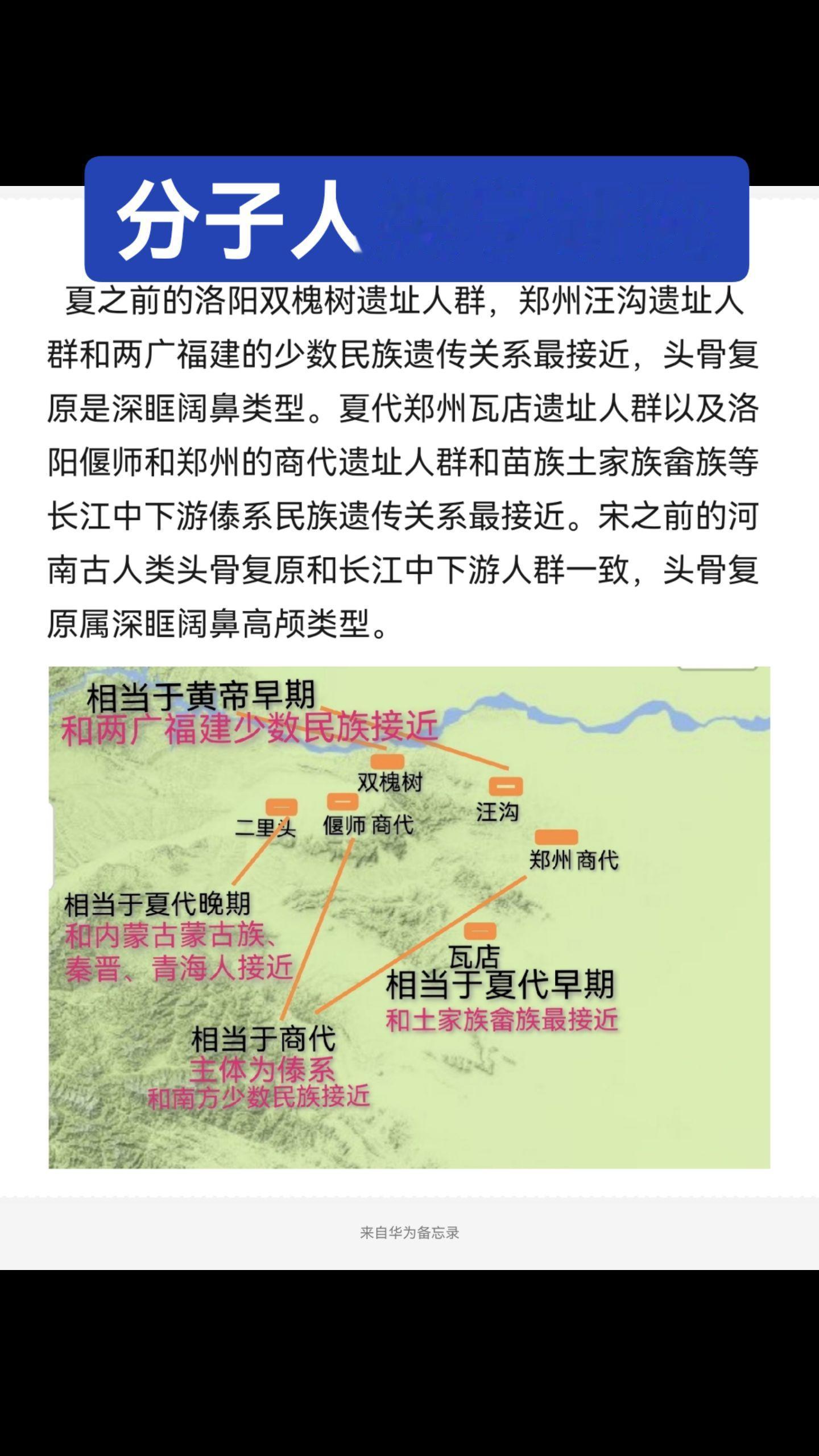 分子人类学