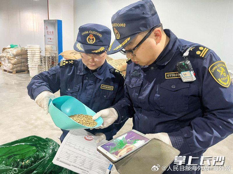 【湖南口岸首次进口卢旺达咖啡豆】1月29日，记者从长沙海关获悉，一批重2.4吨的