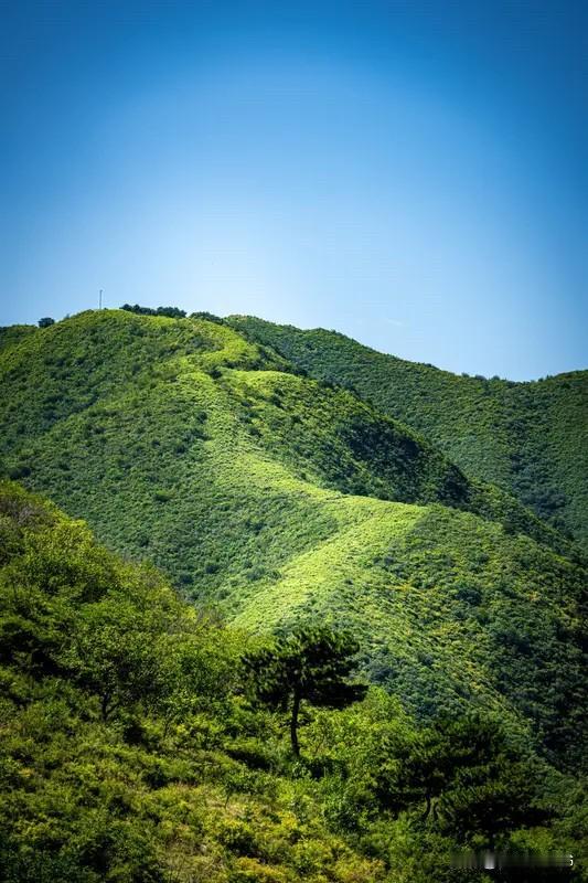 策马趁新晴，春风伴我行。
踏青山野绿，赴约听流莺。