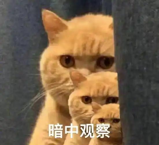 贞观中，长安县一桩内乱案，惊动了李世民。

有李行诠者，前妻去世后续弦。

前妻