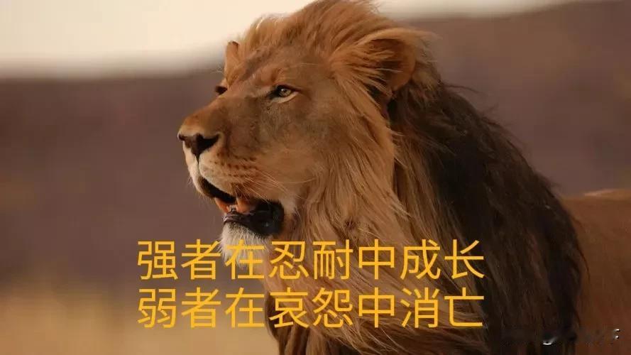 大盘跌跌不休，我似乎明白了！
这是今天写的第三篇关于股市的文章，在第二篇文章中，