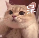 韩圆侃体育