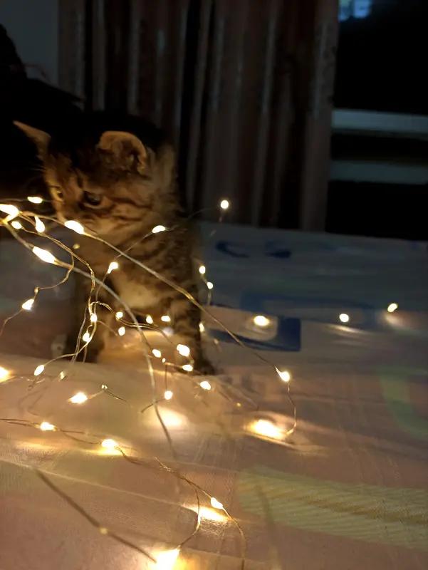 吵架时最怕啥？不是摔门，是冷不丁冒出那句：“跟你妈一个德行！”

好家伙，一句话