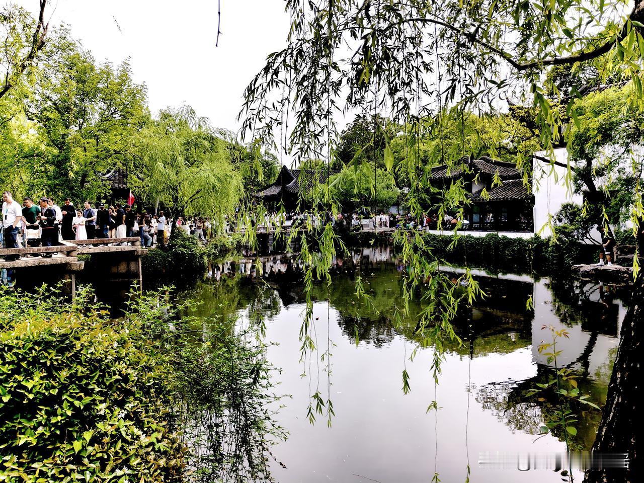 苏州，这座城市是真的美！

昨天早晨7：18，乘坐C3062列车，从杭州西站出发