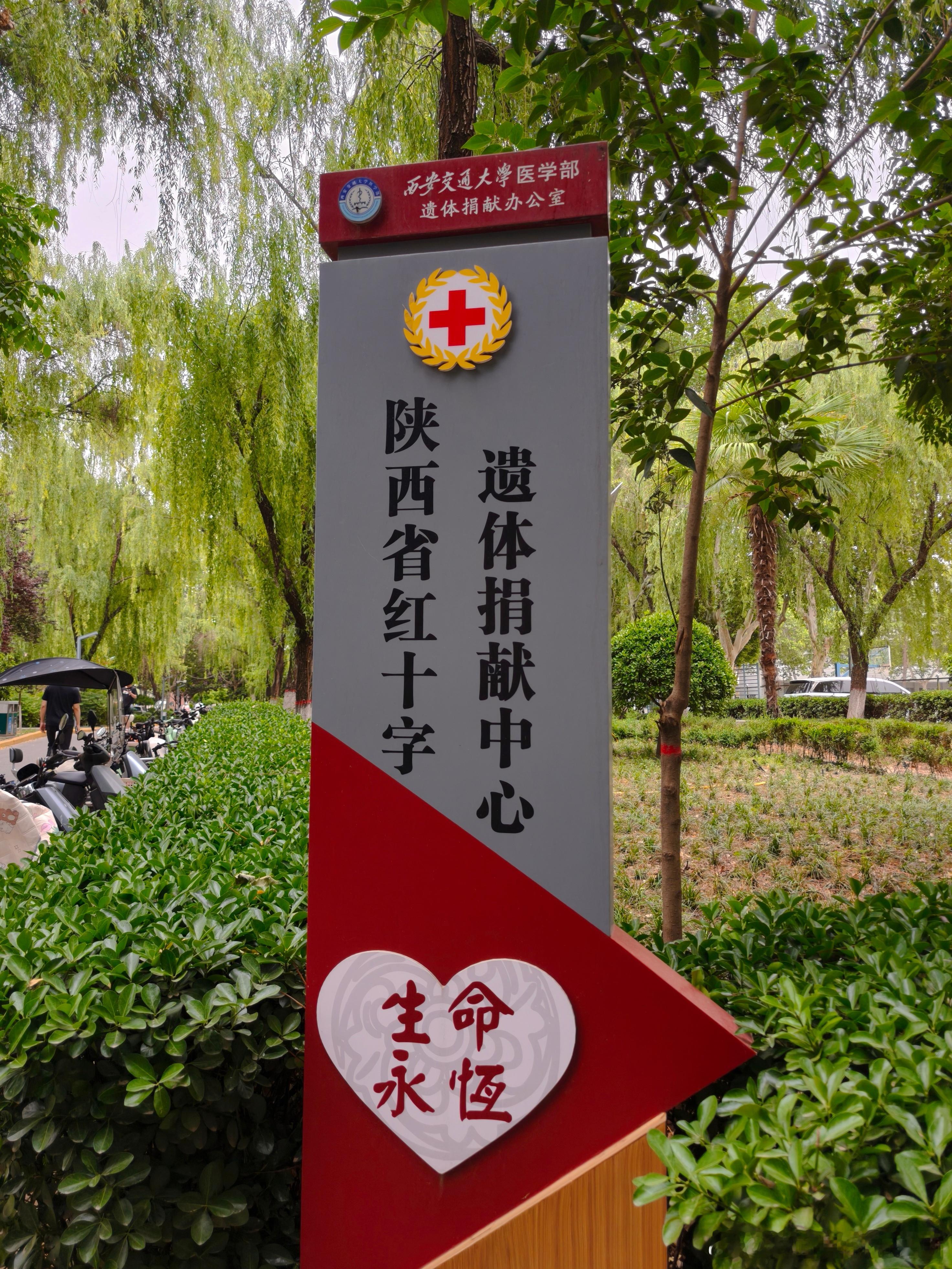 每天早起打卡正经又好看的小伙伴们早鸭  ，今天考试要考一天，不要太想我  ​​​