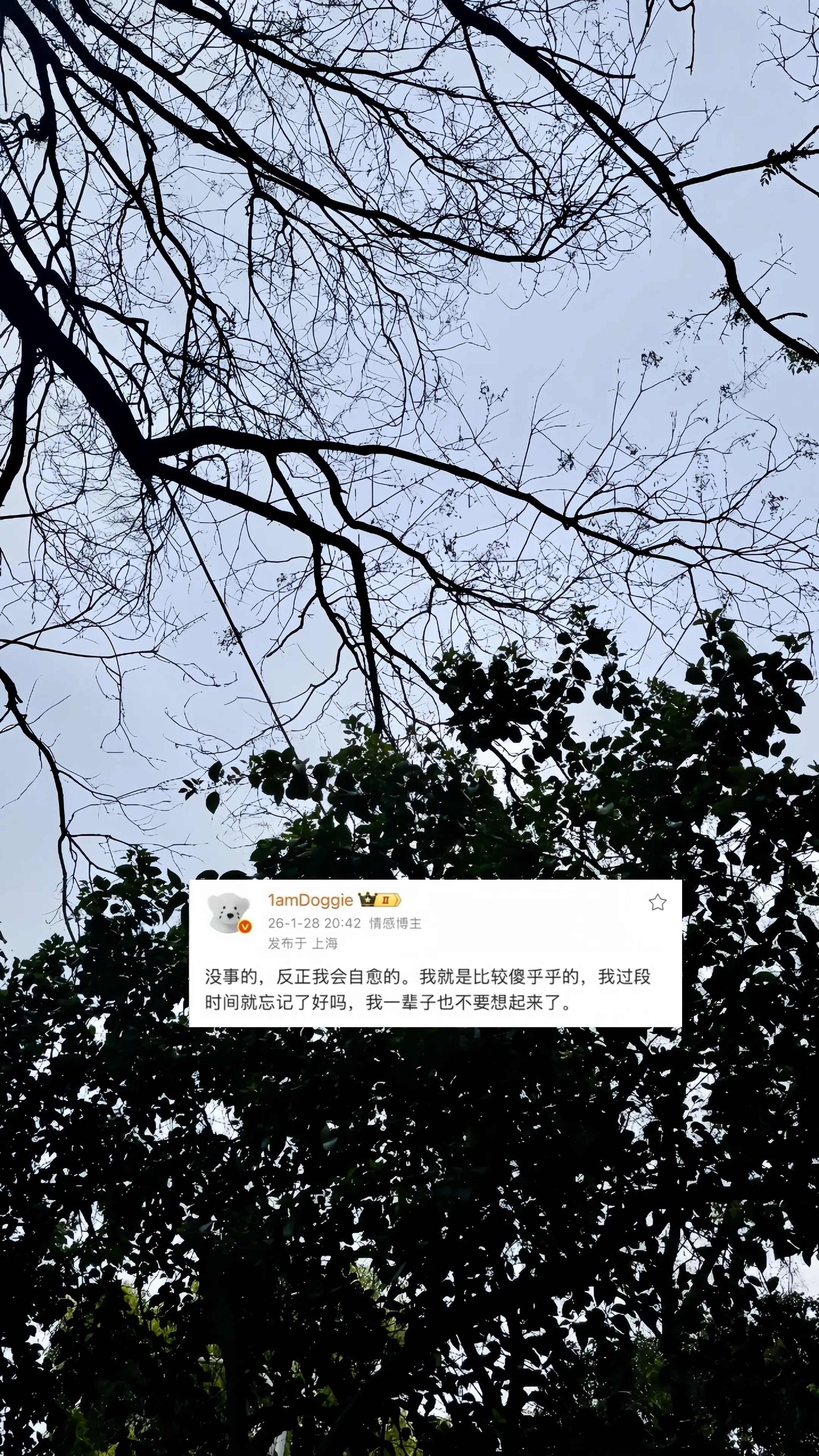 我没说不公平 没说委屈 我说知道了