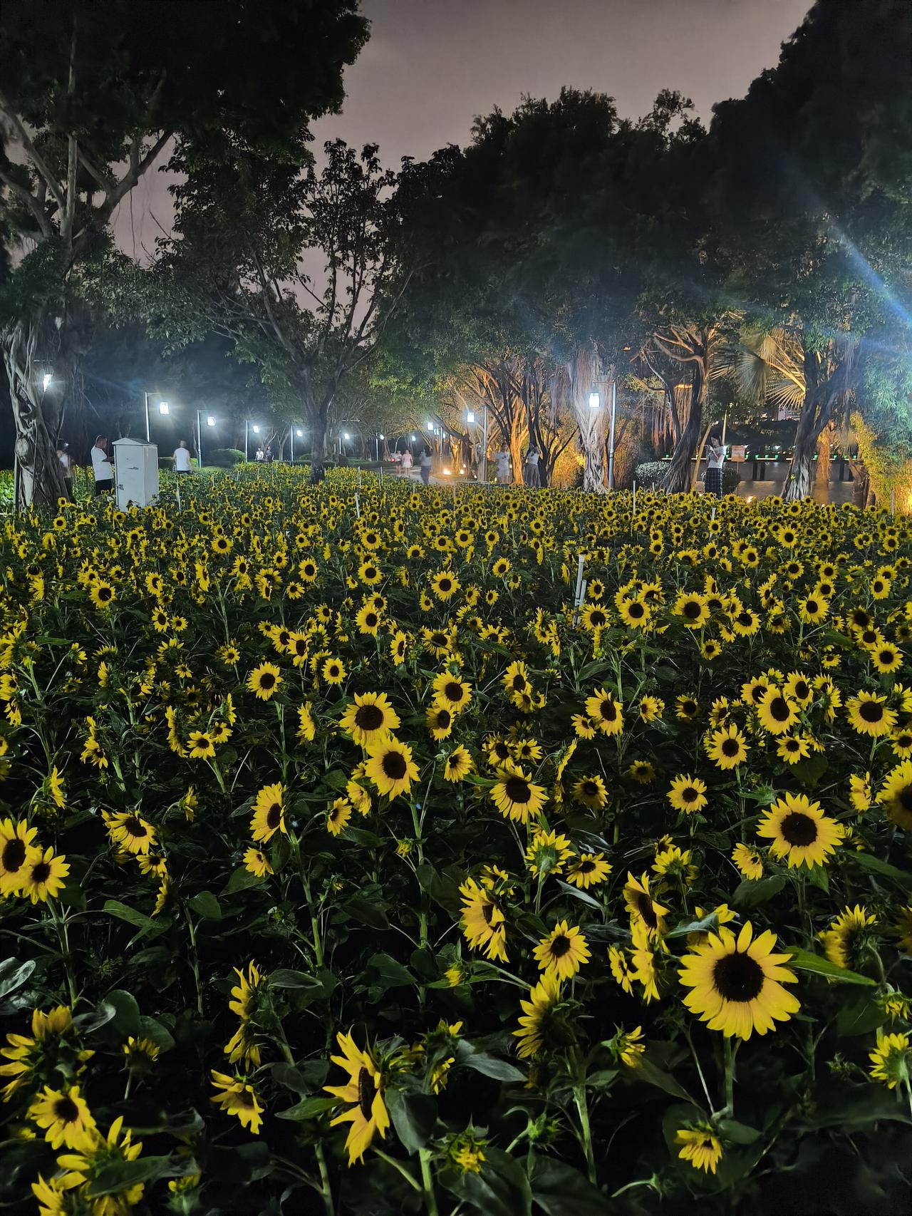 夜色渐沉，城市的喧嚣缓缓敛去，此刻最适合把心沉定下来，和自己好好说说话。
我们总