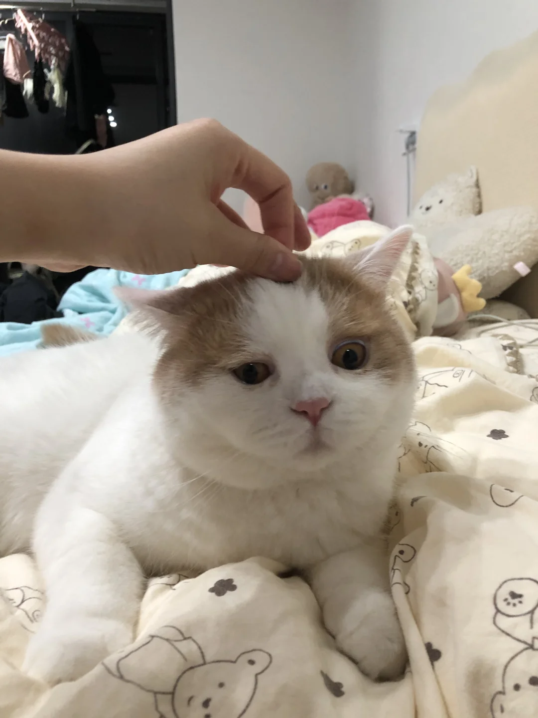 坏妈妈的爱好 揪咪😛