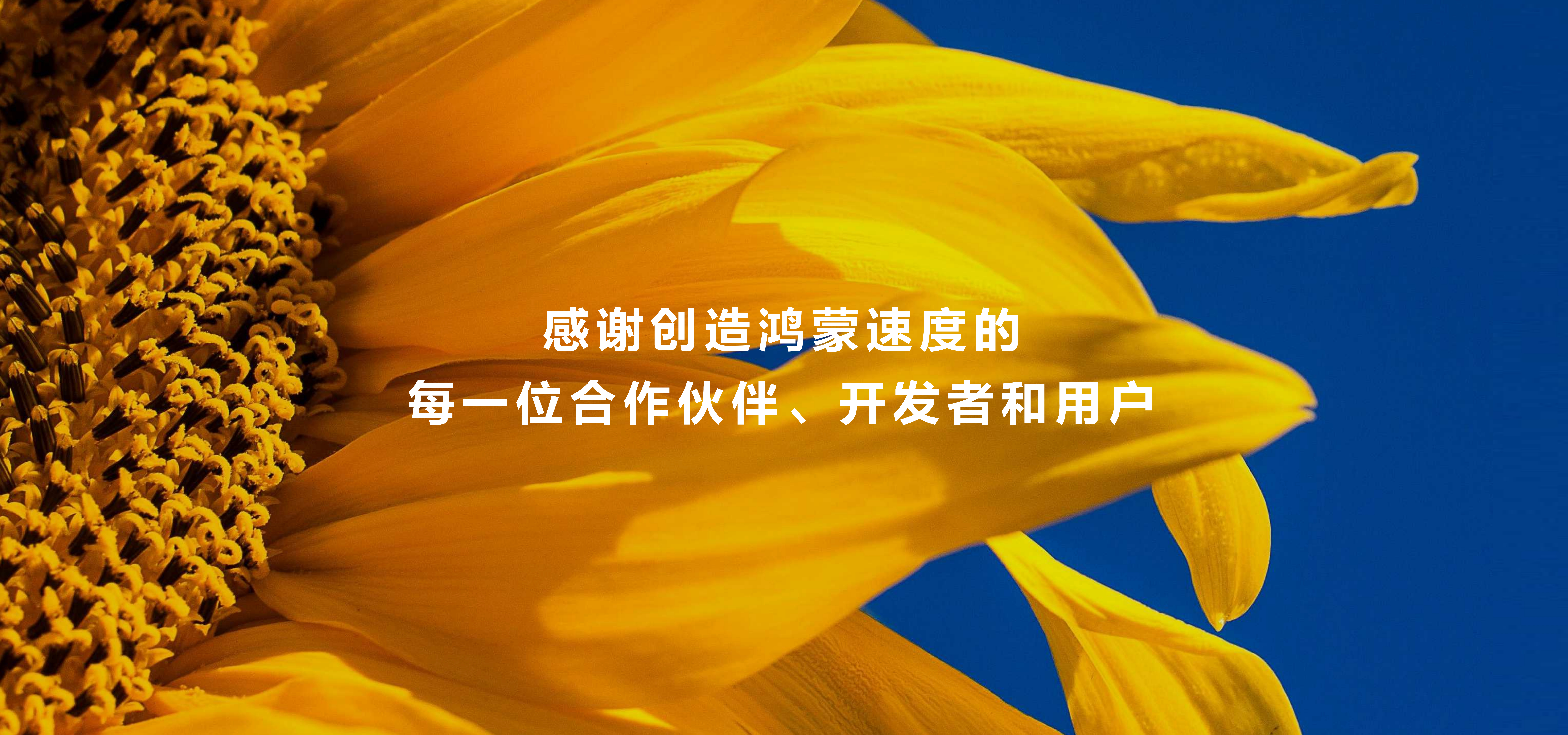 余承东抽百台手机感谢鸿蒙用户一路见证成长太感慨了！从初期的摸索到如今千万级用户量