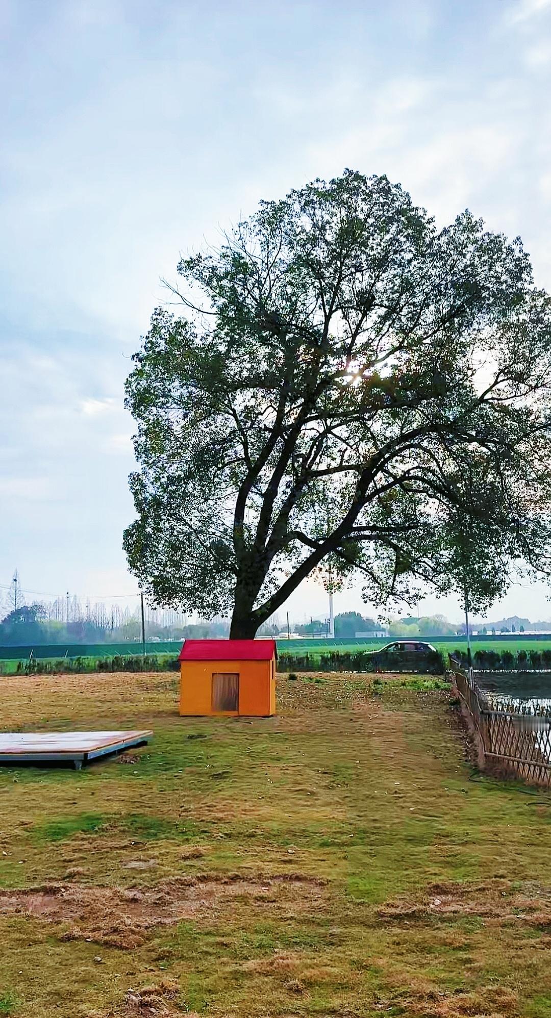 #种地吧[超话]#来自今天的后陡门[哇] ​​​