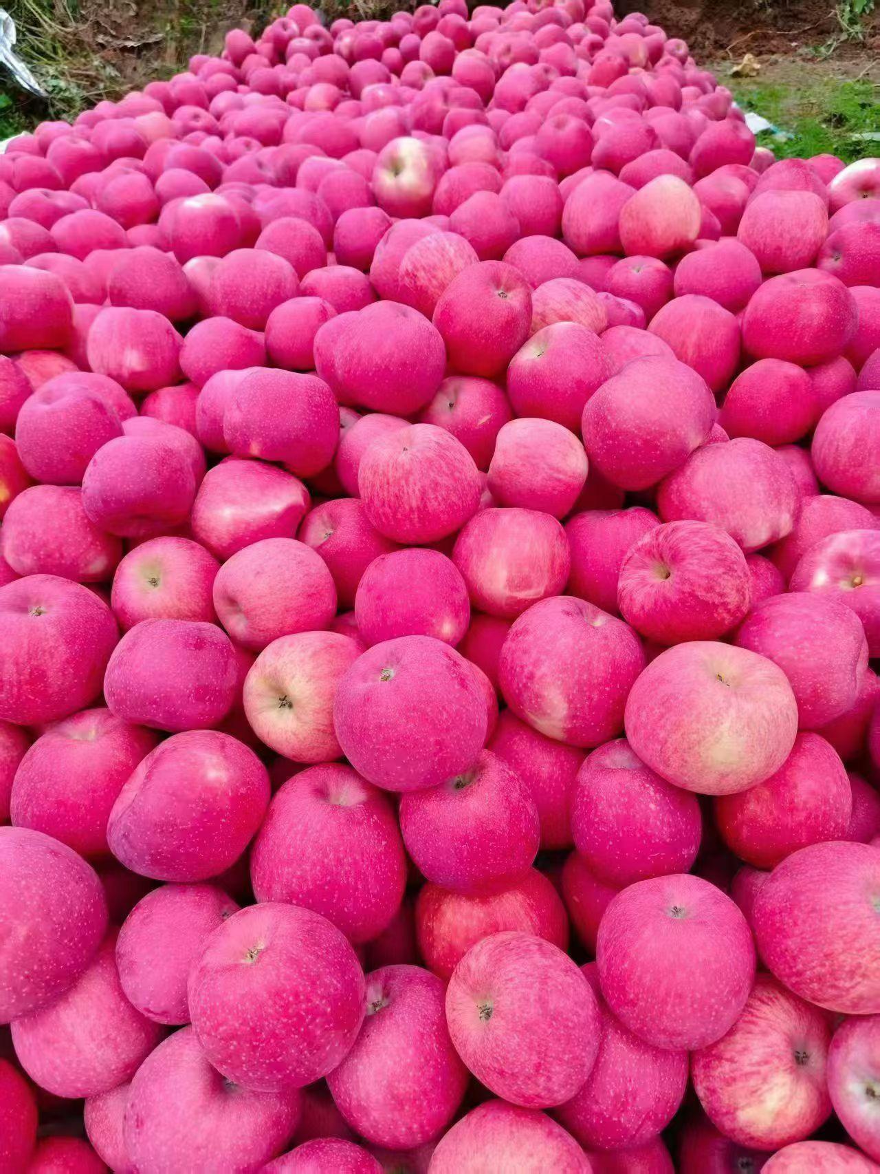 鱼离不开水,人离不开什么呢?
鱼离不开水
鱼儿离开水它会死去
我用两个字总结
人