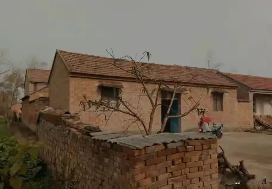 苏北农村，连云港，盐城，宿迁，徐州，农村大部分瓦房，不让建，让老百姓进城买#苏北