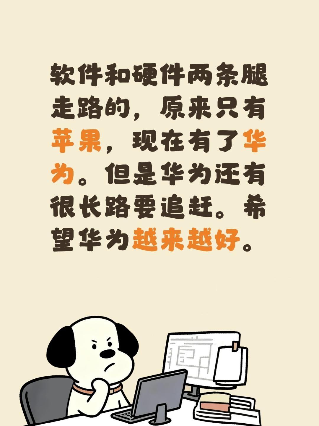 软件和硬件两条腿走路的，原来只有苹果，现在有了华为。但是华为还有很长路要追赶。希