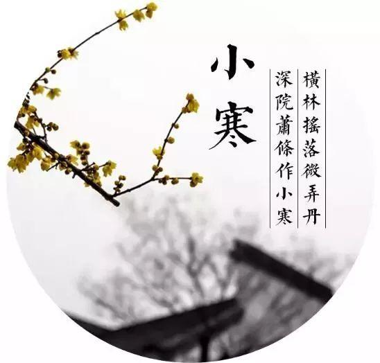 小寒变“小暖”？今年冬天不太冷！
发现没，今年小寒节气，说好的“冻成一团”没来，