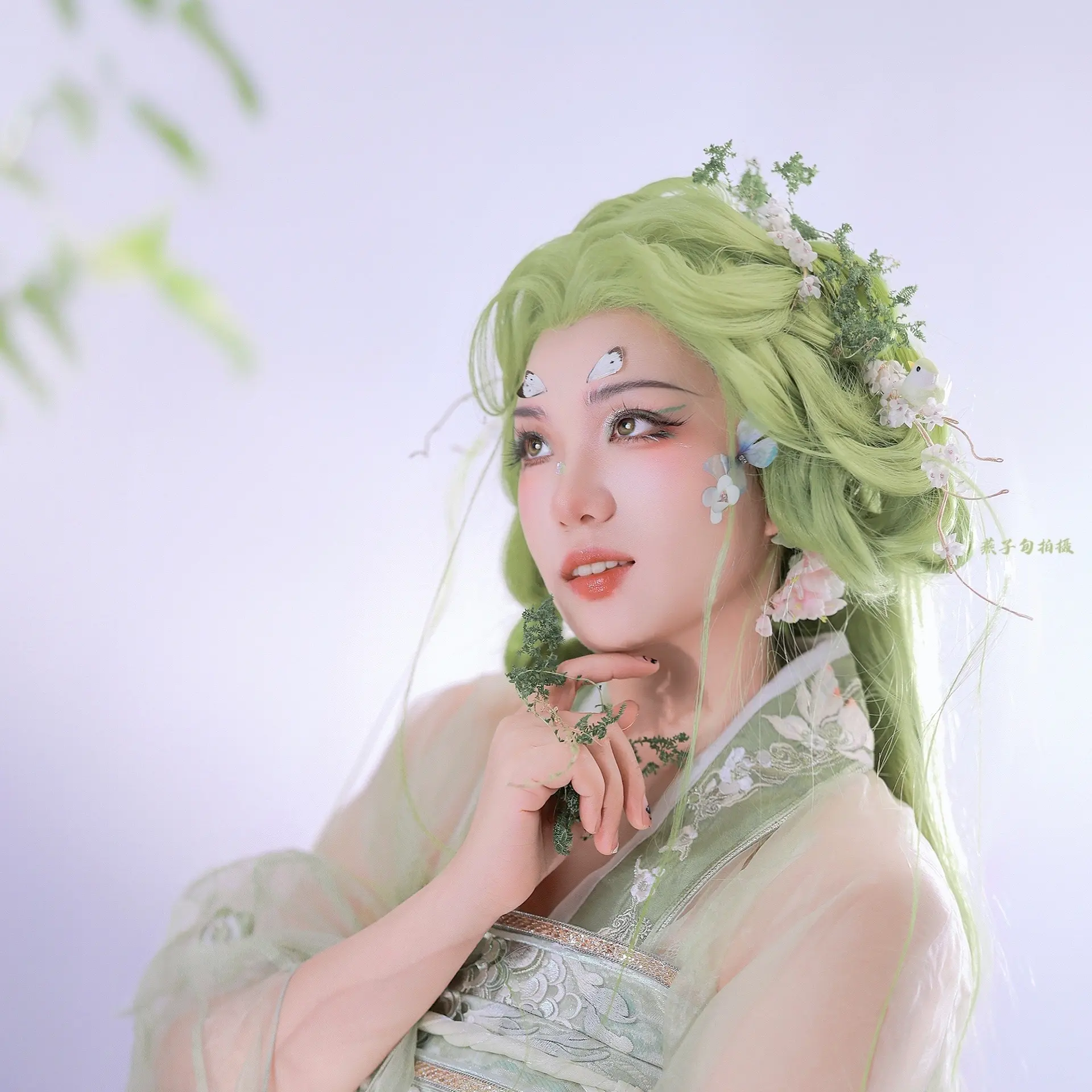 客人想要的小青鸟～终于拍上绿毛了～