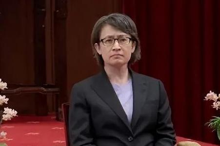 [浮云]针对顽固不化、执意分裂国家的 “台独” 首要分子，能否考虑采取斩首行动？