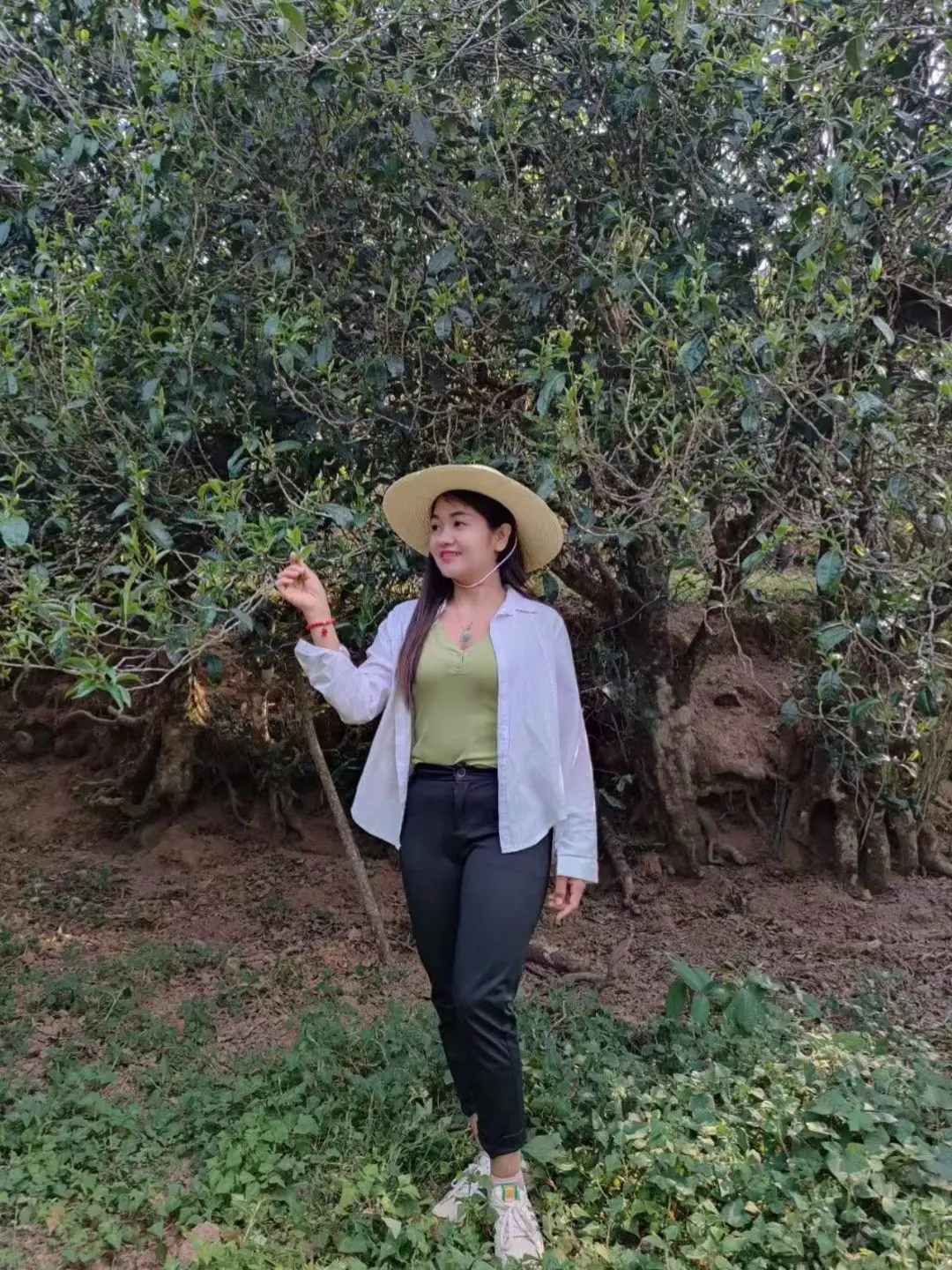 不是在寻山，就是在寻茶； 不是在讲茶，就是在爱茶的路上。 一生一事，一...