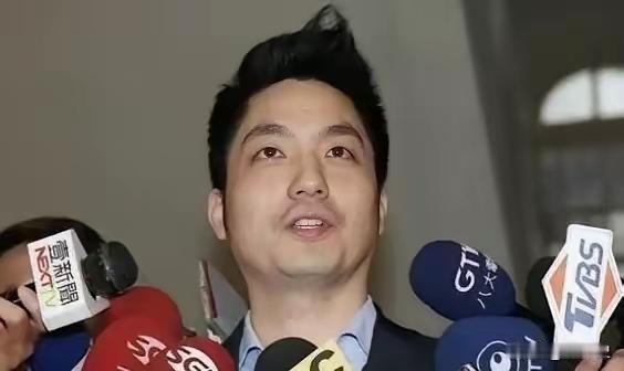 郑丽文最近受到的压力可不小，有来自民进党赖清德当权者的大量攻击性语言，有多个台独