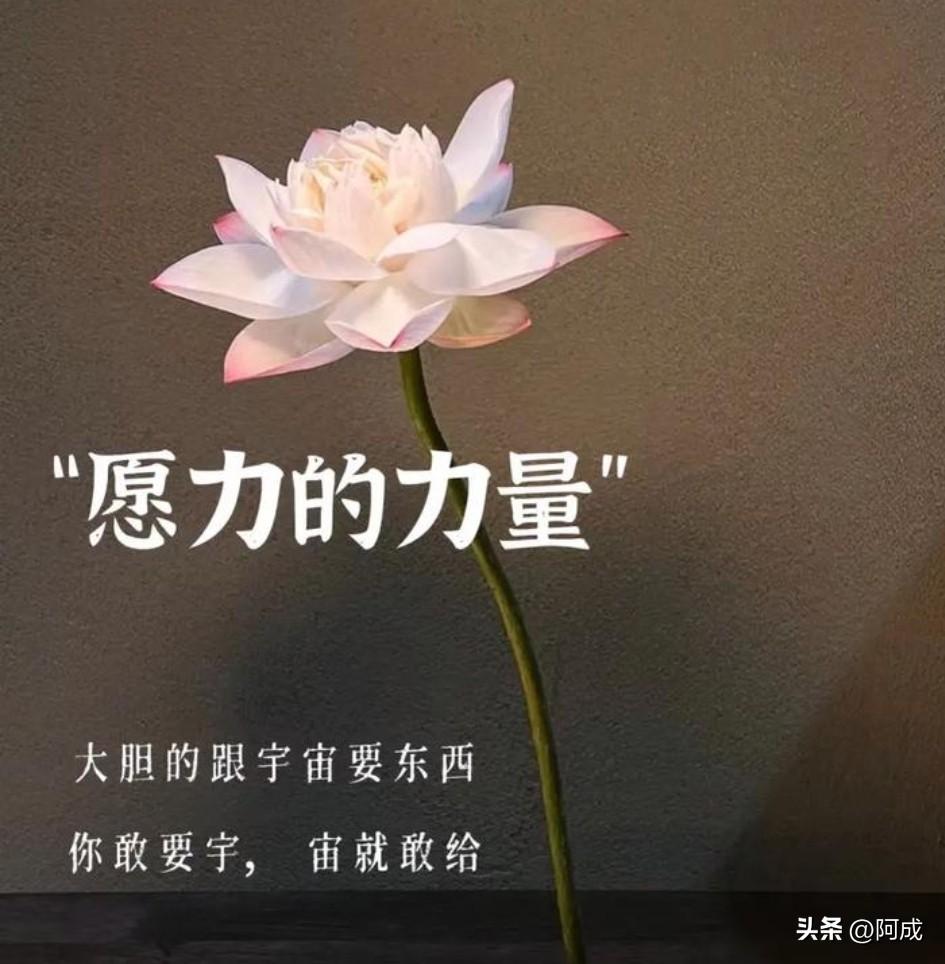 男人真正的心动，从来不是靠一味付出换来的感动，而是源于自然而然的吸引。与其费力去